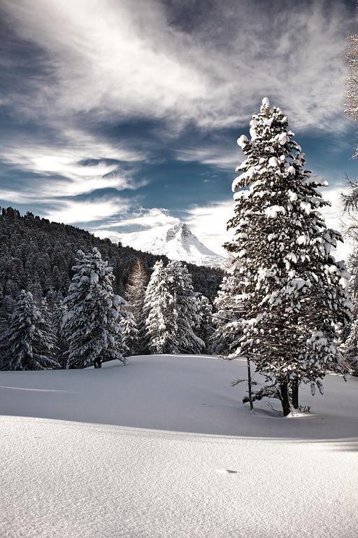 Alte Schmiede Daire Nauders Dış mekan fotoğraf
